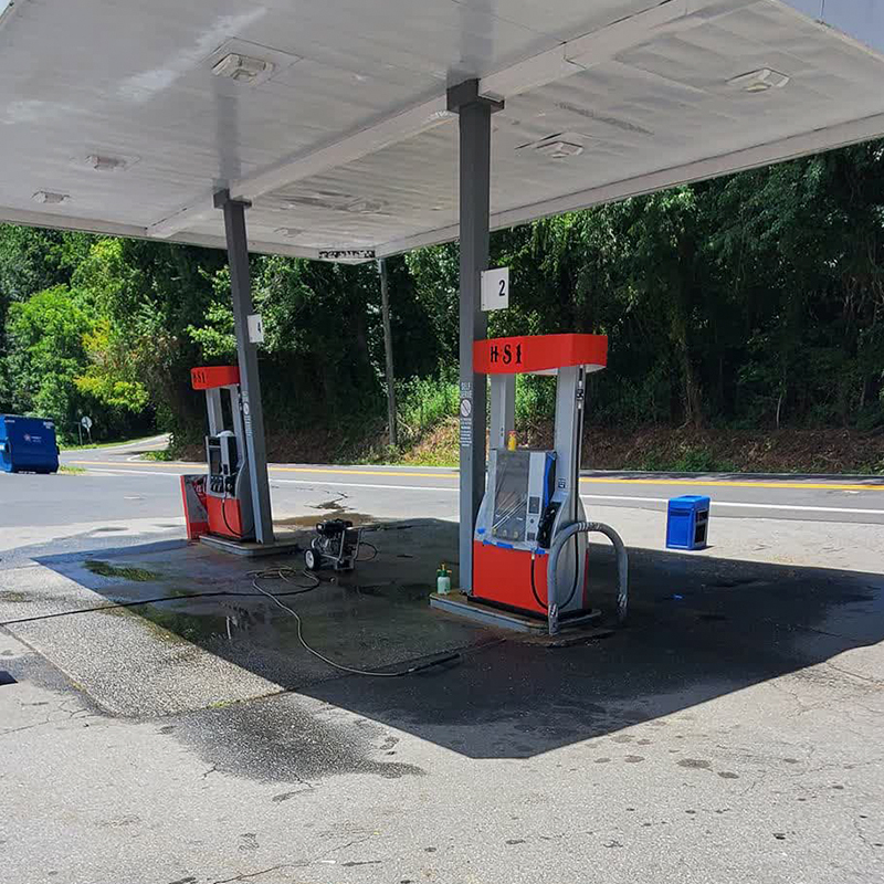 Landscaping and Tree Service Experts